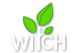 Witch