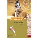 Advocate Large Dog 25 10-25kg 6pi