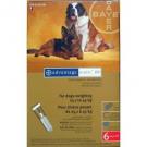 Advocate Xl Dog 40 25-40kg 6pi